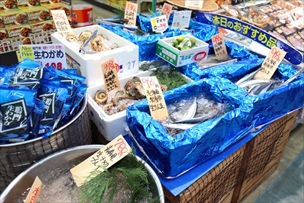 鮮魚売り場1